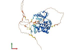 AlphaFold protein structure predicition of Mouse Recombinant Pak3 Protein, UniprotID Q61036
