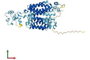 AlphaFold protein structure predicition of Mouse Recombinant Slc22a2 Protein, UniprotID O70577
