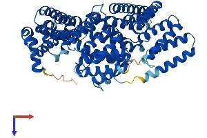 AlphaFold protein structure predicition of Mouse Recombinant Appbp2 Protein, UniprotID Q9DAX9