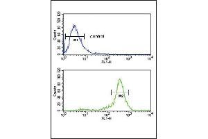 CALR Antibody (ABIN652259 and ABIN2841097) flow cytometric analysis of HepG2 cells (bottom histogram) compared to a negative control cell (top histogram). (Calreticulin anticorps)