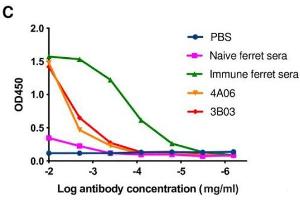 Goat anti-Ferret IgA, IgG, IgM antibody (FITC)