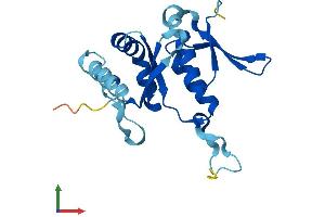 AlphaFold protein structure predicition of Mouse Recombinant Rps7 Protein, UniprotID P62082