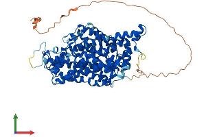 AlphaFold protein structure predicition of Human Recombinant SLC6A4 Protein, UniprotID P31645