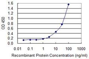Detection limit for recombinant GST tagged ACTB is 0. (beta Actin anticorps  (AA 1-375))