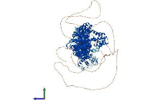 AlphaFold protein structure predicition of Human Recombinant PDS5B Protein, UniprotID Q9NTI5