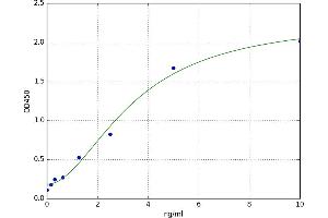 Chymase 1, Mast Cell (CMA1) ELISA Kit