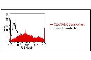 FACS analysis of BOSC23 cells using 9A6. (CEACAM6 anticorps)
