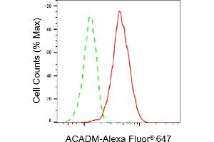 anti-Medium-Chain Specific Acyl-CoA Dehydrogenase, Mitochondrial (MCAD) antibody