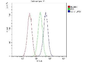 Flow Cytometry analysis of HepG2 cells using anti-CCT7 antibody (ABIN5692966). (CCT7 anticorps  (AA 30-307))