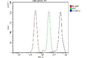 Flow Cytometry analysis of THP-1 cells using anti-ANAPC2 antibody (ABIN7601930). (ANAPC2 anticorps  (AA 51-272))