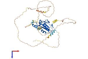 AlphaFold protein structure predicition of Mouse Recombinant Cdc25a Protein, UniprotID P48964
