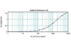 Image no. 3 for anti-Interleukin 16 (IL16) antibody (ABIN465149) (IL16 anticorps)