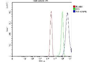 Flow Cytometry analysis of SiHa cells using anti-ARHGAP45 antibody (ABIN7599740).