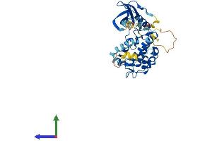 AlphaFold protein structure predicition of Mouse Recombinant Mapkapk3 Protein, UniprotID Q3UMW7