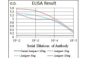 Black line: Control Antigen (100 ng), Purple line: Antigen(10 ng), Blue line: Antigen (50 ng), Red line: Antigen (100 ng),