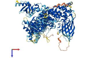 AlphaFold protein structure predicition of Mouse Recombinant Pik3cb Protein, UniprotID Q8BTI9