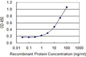 Detection limit for recombinant GST tagged PAGE1 is 0.