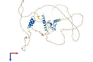 AlphaFold protein structure predicition of Mouse Recombinant Ints12 Protein, UniprotID Q9D168