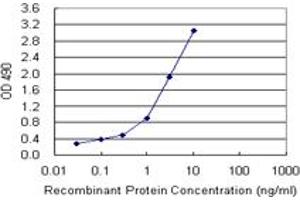Sandwich ELISA detection sensitivity ranging from 0. (CD86 (Humain) Matched Antibody Pair)