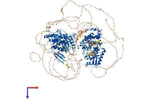 AlphaFold protein structure predicition of Human Recombinant TUT7 Protein, UniprotID Q5VYS8