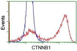 HEK293T cells transfected with either RC208947 overexpress plasmid (Red) or empty vector control plasmid (Blue) were immunostained by anti-CTNNB1 antibody (ABIN2454169), and then analyzed by flow cytometry. (CTNNB1 anticorps)