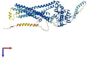 AlphaFold protein structure predicition of Human Recombinant ABCD1 Protein, UniprotID P33897
