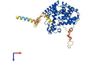 AlphaFold protein structure predicition of Mouse Recombinant Pde7a Protein, UniprotID P70453