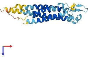 Transmembrane 4 L Six Family Member 1 (TM4SF1) (AA 1-202) protein (His tag)