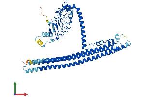 AlphaFold protein structure predicition of Mouse Recombinant Drc3 Protein, UniprotID Q9D5E4