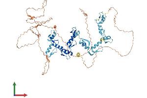 AlphaFold protein structure predicition of Human Recombinant CTCFL Protein, UniprotID Q8NI51