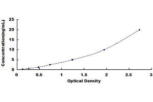 Typical standard curve (CSTA Kit ELISA)