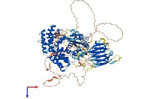 AlphaFold protein structure predicition of Human Recombinant PIK3R5 Protein, UniprotID Q8WYR1