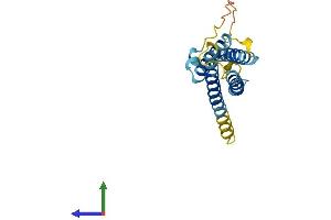 AlphaFold protein structure predicition of Human Recombinant PLLP Protein, UniprotID Q9Y342 (Plasmolipin Protein (AA 1-182) (His tag))