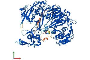 AlphaFold protein structure predicition of Mouse Recombinant Ago2 Protein, UniprotID Q8CJG0
