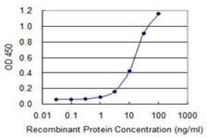 anti-Aldehyde Dehydrogenase 1 Family, Member L1 (ALDH1L1) (AA 803-902) antibody