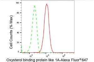 Flow cytometric analysis of Oxysterol binding protein like 1A expression in HT- cells using Oxysterol binding protein like 1A antibody (ABIN7799716), 1:2,000). (Recombinant OSBPL1A anticorps)