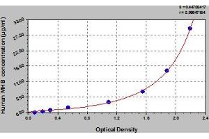 Hemoglobin, gamma G (HBG2) ELISA Kit