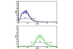 Flow cytometric analysis of Jurkat cells using MERTK antibody (bottom histogram) compared to a negative control (top histogram). (MERTK anticorps)