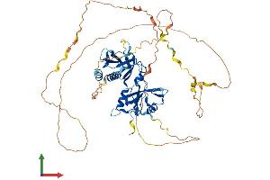 AlphaFold protein structure predicition of Mouse Recombinant Sh3bp2 Protein, UniprotID Q06649