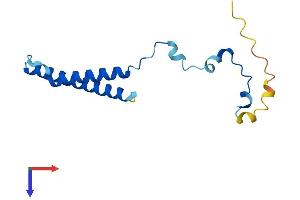 AlphaFold protein structure predicition of Mouse Recombinant Mmgt1 Protein, UniprotID Q8K273