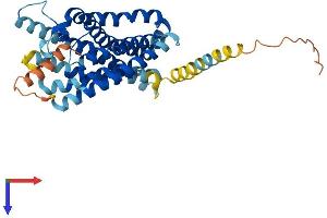 AlphaFold protein structure predicition of Mouse Recombinant Fpr1 Protein, UniprotID P33766
