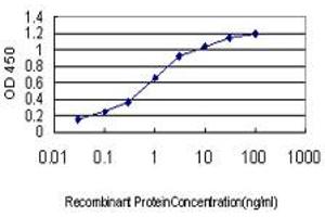 Detection limit for recombinant GST tagged KCNA3 is approximately 0.
