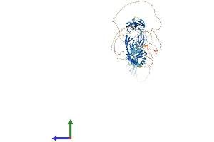 AlphaFold protein structure predicition of Human Recombinant KIAA0319L Protein, UniprotID Q8IZA0