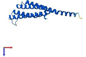 AlphaFold protein structure predicition of Human Recombinant LTC4S Protein, UniprotID Q16873