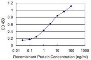 Detection limit for recombinant GST tagged CYP46A1 is 0.