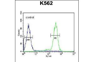Flow cytometric analysis of K562 cells (right histogram) compared to a negative control cell (left histogram).