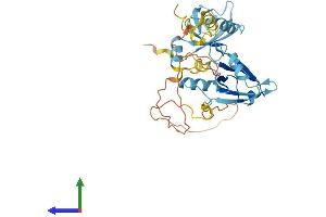AlphaFold protein structure predicition of Human Recombinant NHERF2 Protein, UniprotID Q15599