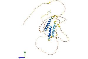 AlphaFold protein structure predicition of Mouse Recombinant Sohlh1 Protein, UniprotID Q6IUP1