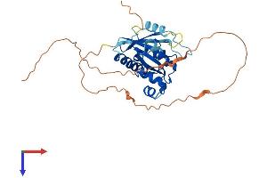 AlphaFold protein structure predicition of Mouse Recombinant Gimap6 Protein, UniprotID Q8K349