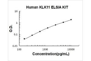 Kallikrein 11 (KLK11) ELISA Kit